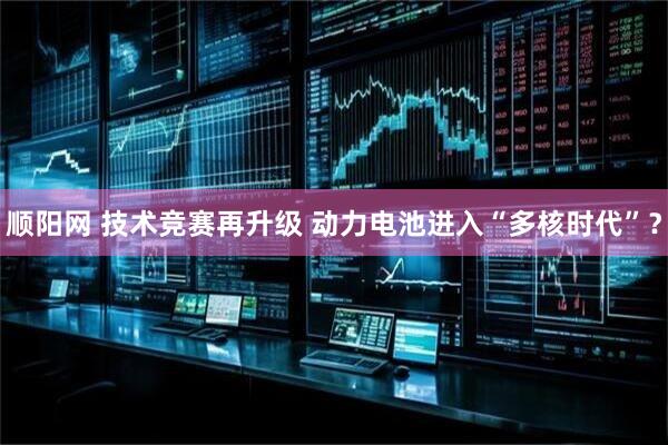 顺阳网 技术竞赛再升级 动力电池进入“多核时代”？