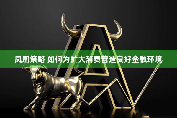 凤凰策略 如何为扩大消费营造良好金融环境