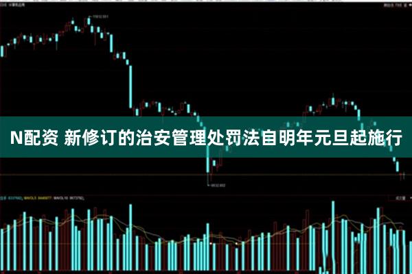 N配资 新修订的治安管理处罚法自明年元旦起施行