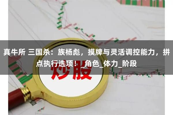 真牛所 三国杀：族杨彪，摸牌与灵活调控能力，拼点执行选项！_角色_体力_阶段